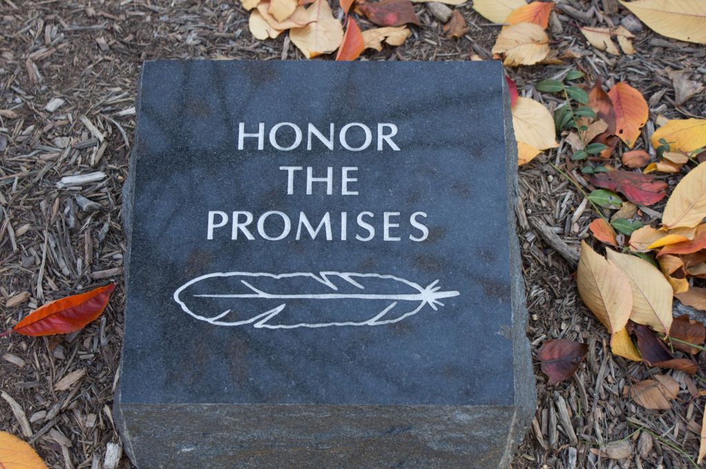 North American and Palestinian&nbsp;Colonization